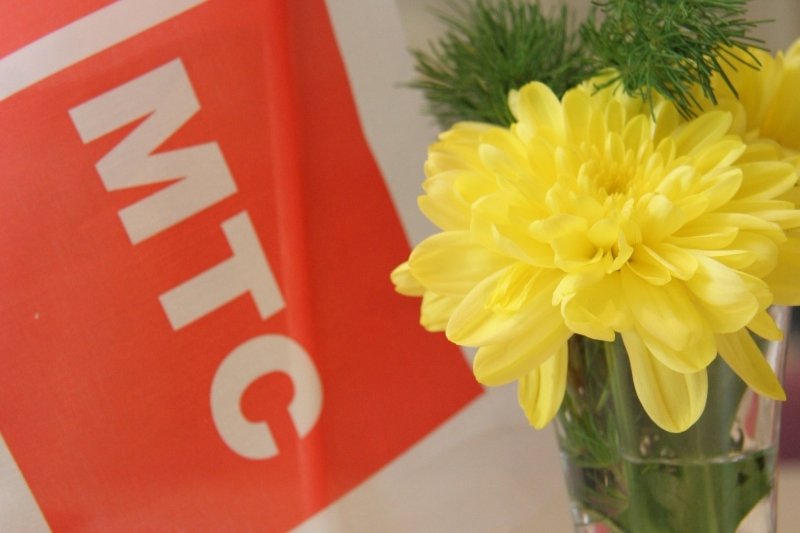 Image: img_src.jpg