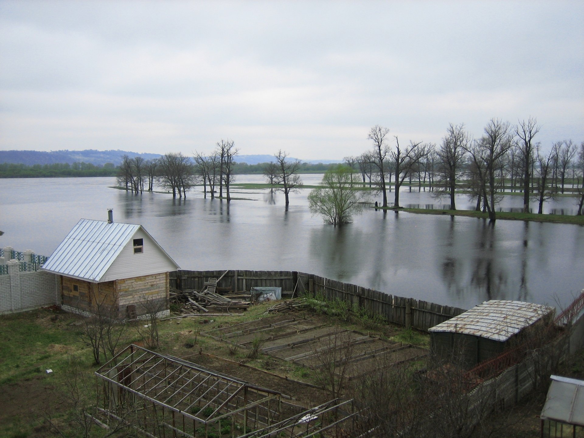 Image: 0.jpg