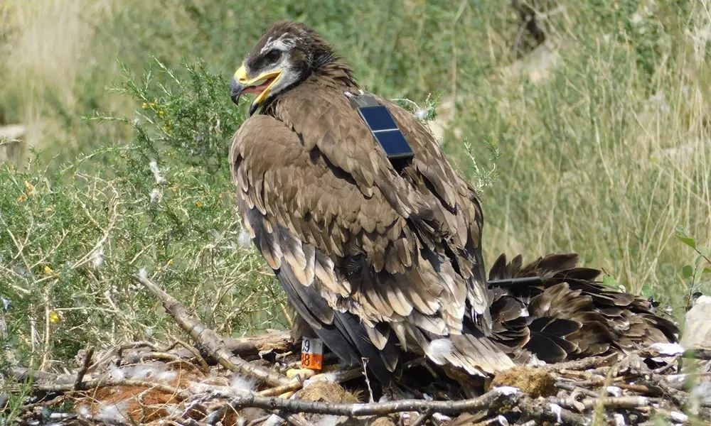 Image: foto_wwf_igor_karyakin.jpg