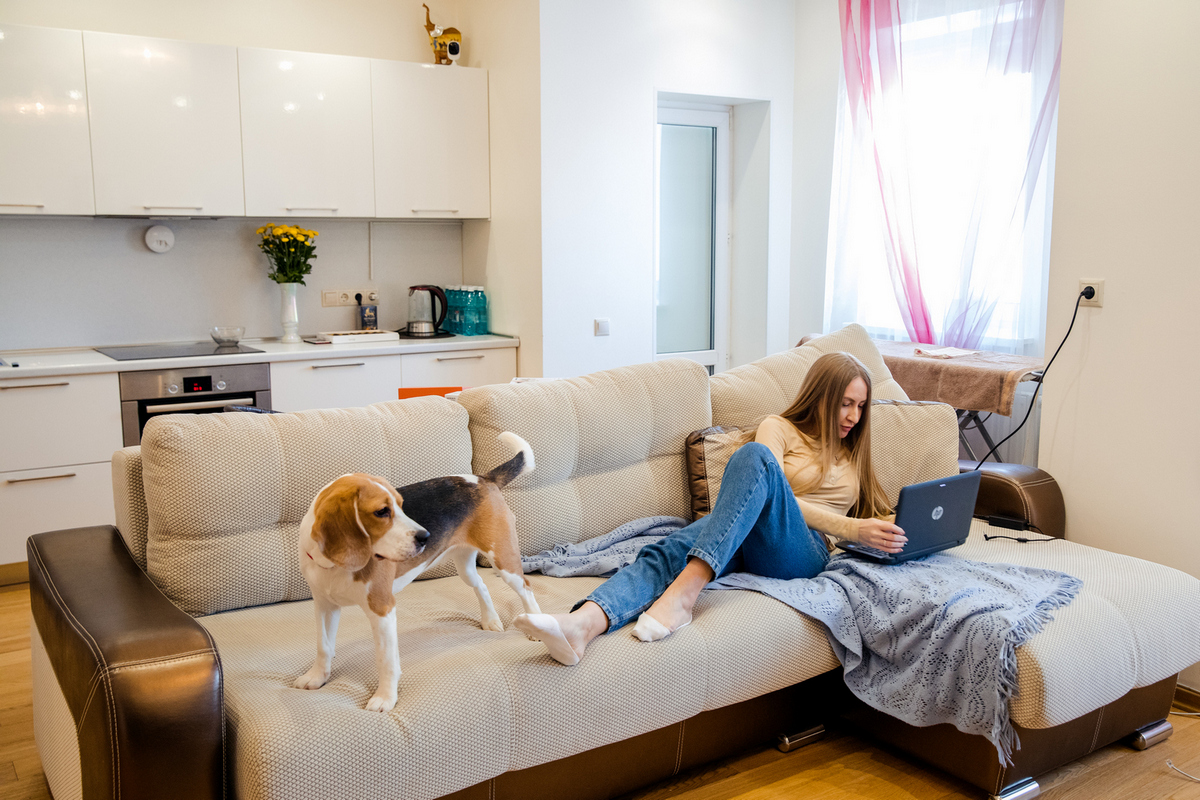 Image: rostelekom_videonablyudenie.jpg